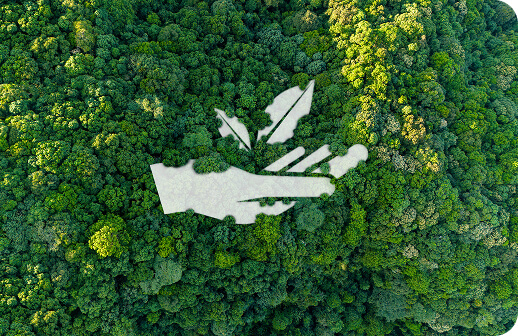 At Aksa Commodity Trading